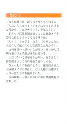 没落お嬢様は言いなりメイド!?, 日本語