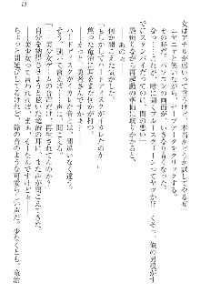 エロ勇者転生 召喚の巫女も姫騎士も淫魔族も!, 日本語