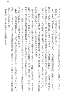 エロライブ! 言いなりアイドルプロジェクト, 日本語