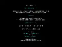 手足の無いおねえさんとガキの話, 日本語