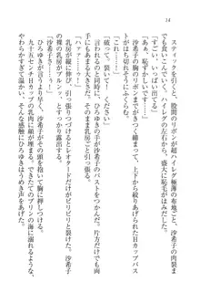 あねきゅん♥ お姉様はお嬢様な三姉妹!, 日本語