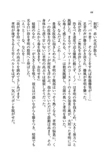 あね忍♥ お姉ちゃんはくノ一なんだぞ!, 日本語