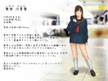 女子高生昏睡レイプ, 日本語