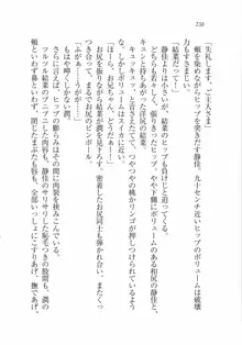 えむ×えむ! 妹と生徒会長, 日本語