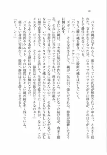 えむ×えむ! 妹と生徒会長, 日本語