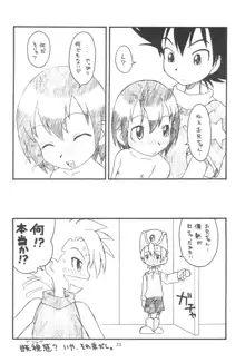 貧乳娘Vol.7, 日本語