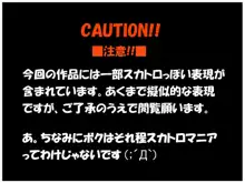 これはスカトロですか？, 日本語