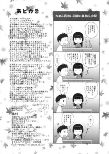 羽根をなくした女天狗さん, 日本語