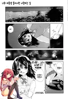 Boku to Imouto no Futarikiri de Saiai no Hi, 한국어