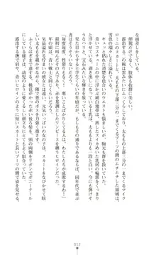 ツイン・アルステラ 調教洗脳で悪堕ちする正義のヒロイン, 日本語