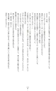 ツイン・アルステラ 調教洗脳で悪堕ちする正義のヒロイン, 日本語