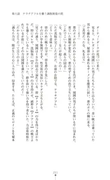 ツイン・アルステラ 調教洗脳で悪堕ちする正義のヒロイン, 日本語