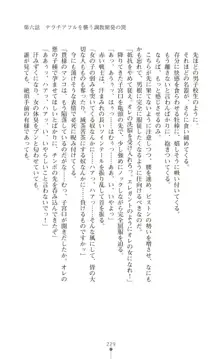 ツイン・アルステラ 調教洗脳で悪堕ちする正義のヒロイン, 日本語