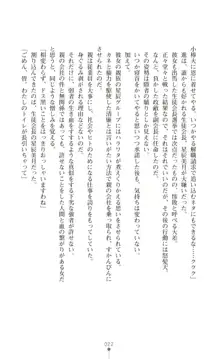 ツイン・アルステラ 調教洗脳で悪堕ちする正義のヒロイン, 日本語