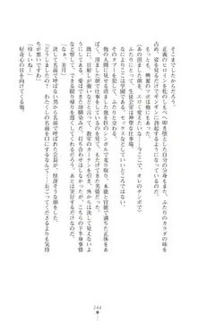 ツイン・アルステラ 調教洗脳で悪堕ちする正義のヒロイン, 日本語