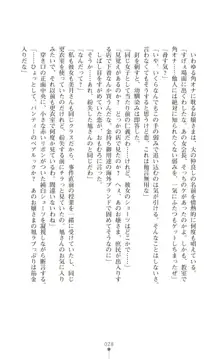 ツイン・アルステラ 調教洗脳で悪堕ちする正義のヒロイン, 日本語