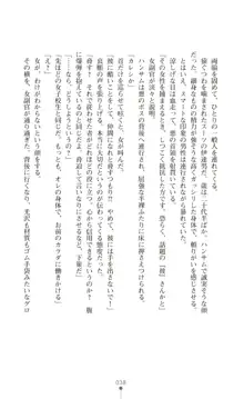 ツイン・アルステラ 調教洗脳で悪堕ちする正義のヒロイン, 日本語