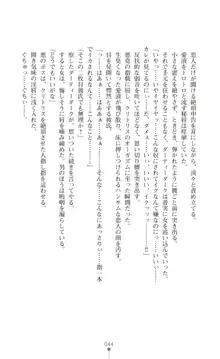 ツイン・アルステラ 調教洗脳で悪堕ちする正義のヒロイン, 日本語