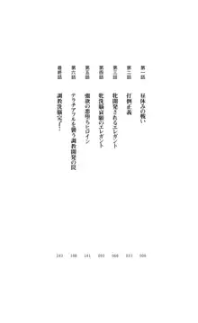 ツイン・アルステラ 調教洗脳で悪堕ちする正義のヒロイン, 日本語