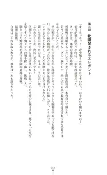 ツイン・アルステラ 調教洗脳で悪堕ちする正義のヒロイン, 日本語