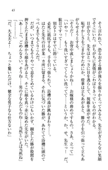 センセイは俺の嫁!?, 日本語