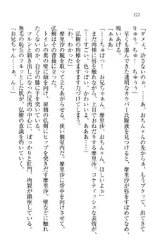 お姉ちゃんは3歳児!?, 日本語