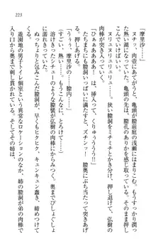 お姉ちゃんは3歳児!?, 日本語