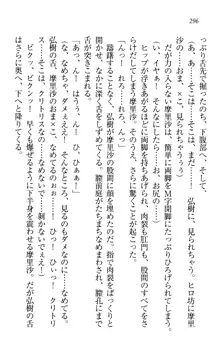 お姉ちゃんは3歳児!?, 日本語