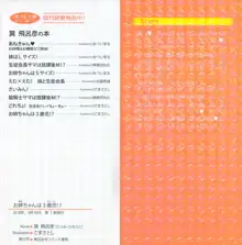 お姉ちゃんは3歳児!?, 日本語