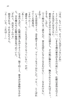 お姉ちゃんは3歳児!?, 日本語