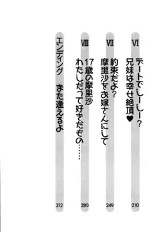 お姉ちゃんは3歳児!?, 日本語