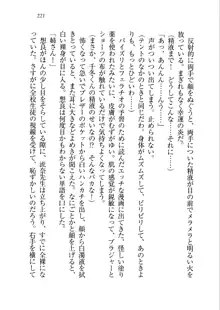 生徒会長を脱がそう!, 日本語