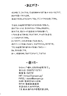 晴れ、ときどきお稲荷さま 3, 日本語