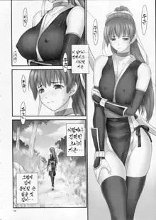 Toukiden Maki no Ichi (decensored), 한국어