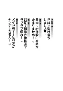 お兄ちゃんと兄様、好き好き大好き好き好き, 日本語