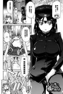 Watashi no Oshikko Fubunritsu, 中文