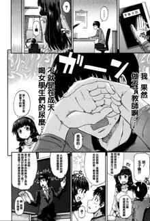 Watashi no Oshikko Fubunritsu, 中文