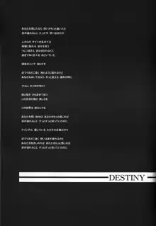 FALL IN DESTINY, 日本語