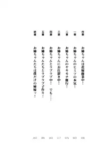 嫁姉ッ! お姉ちゃんの愛情は無限大! 弟とだったら子作りもOK!, 日本語