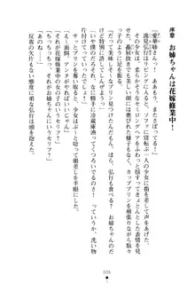 嫁姉ッ! お姉ちゃんの愛情は無限大! 弟とだったら子作りもOK!, 日本語