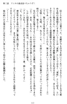 いもうとバイト! エッチなお兄ちゃんを誘惑するだけの簡単なおしごとです, 日本語