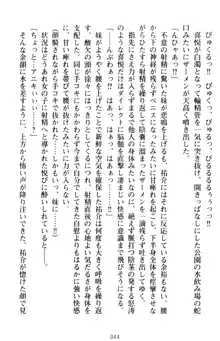 いもうとバイト! エッチなお兄ちゃんを誘惑するだけの簡単なおしごとです, 日本語