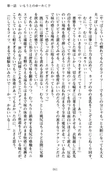 いもうとバイト! エッチなお兄ちゃんを誘惑するだけの簡単なおしごとです, 日本語