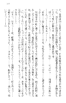 天下統一! メイド選手権, 日本語