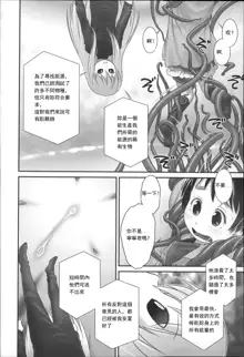 Shion-chan to Nini-kun 2, 中文