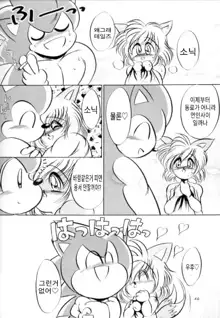 Do Your Best, Sonic!, 한국어