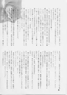 第一王女近衛師団5, 日本語