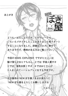 MARS EXPLORER 1 ヒナ, 日本語