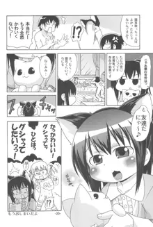 みっちゃんがアレ, 日本語