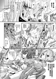 Brandish 6, 中文